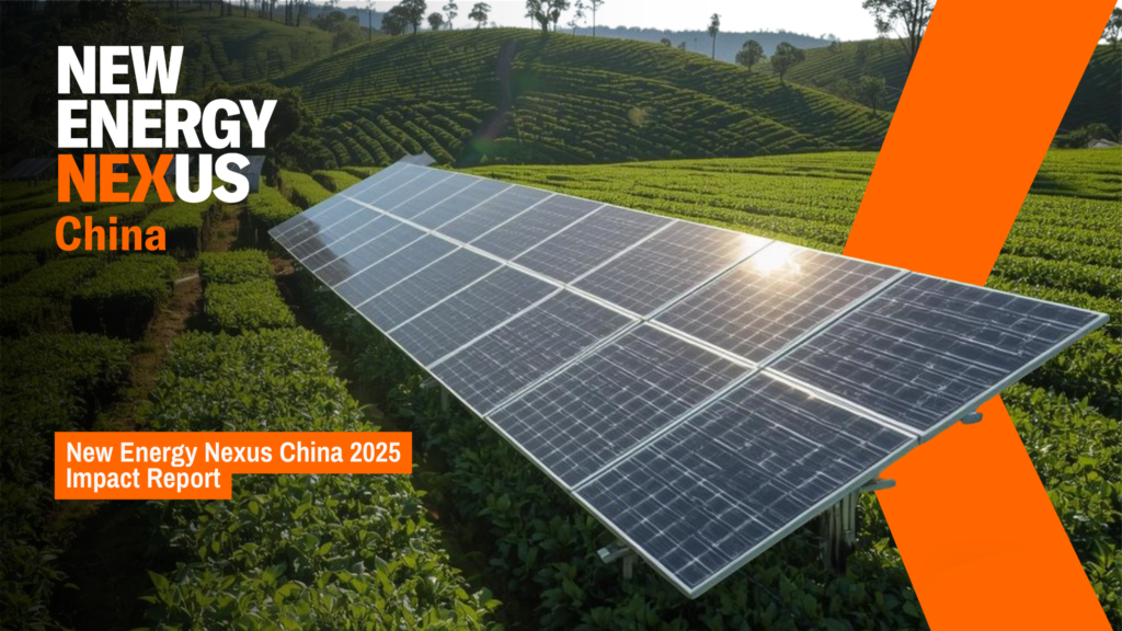 NEX China 2025 Impact Report